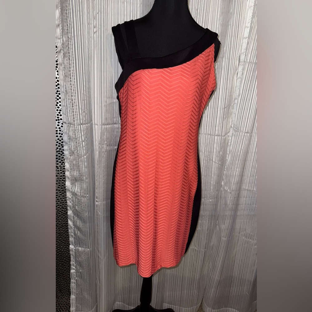 Enfocus Studio Black and Coral Mini Dress